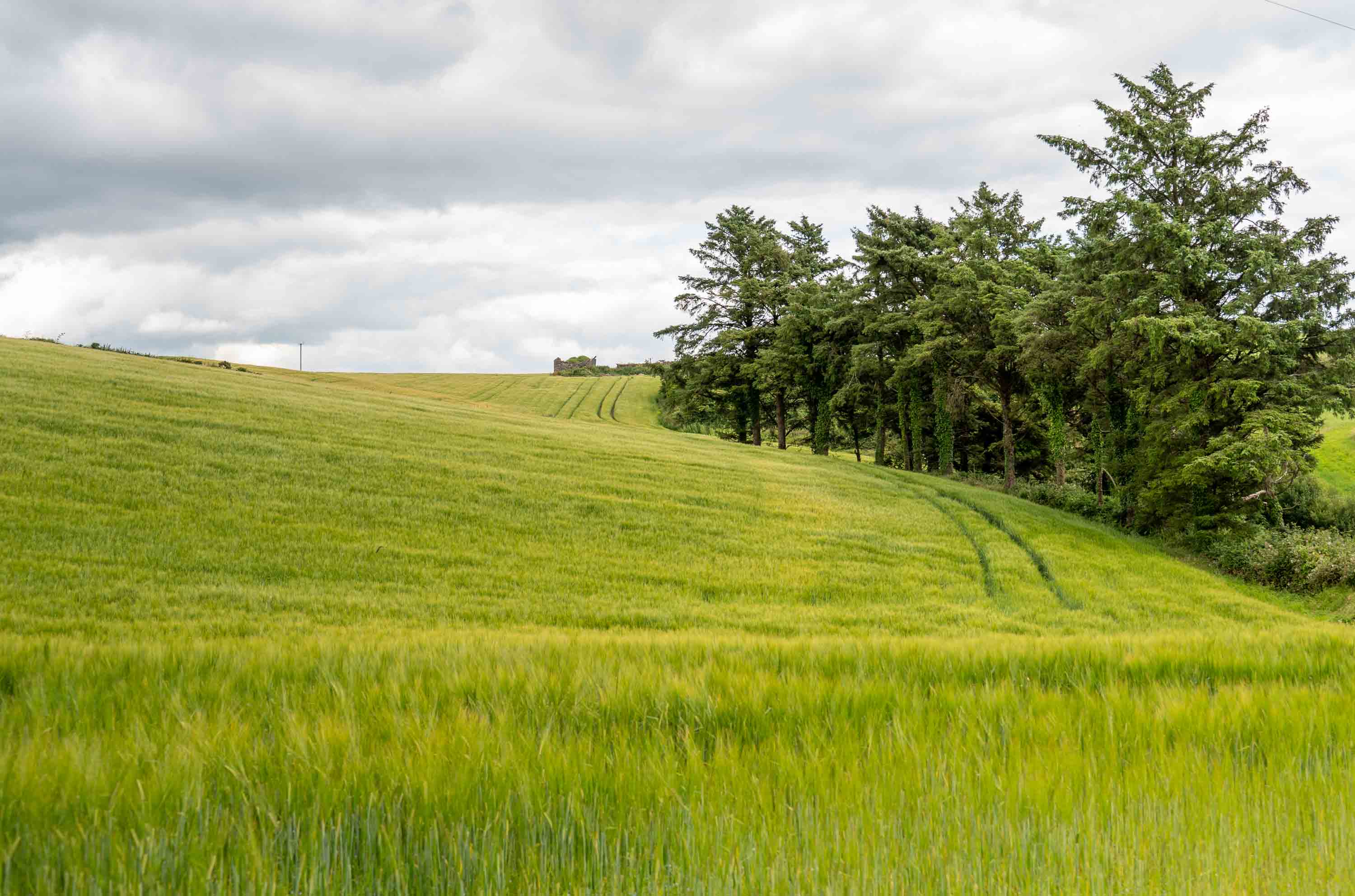 I don’t need more photo critique, I need more time with my camera