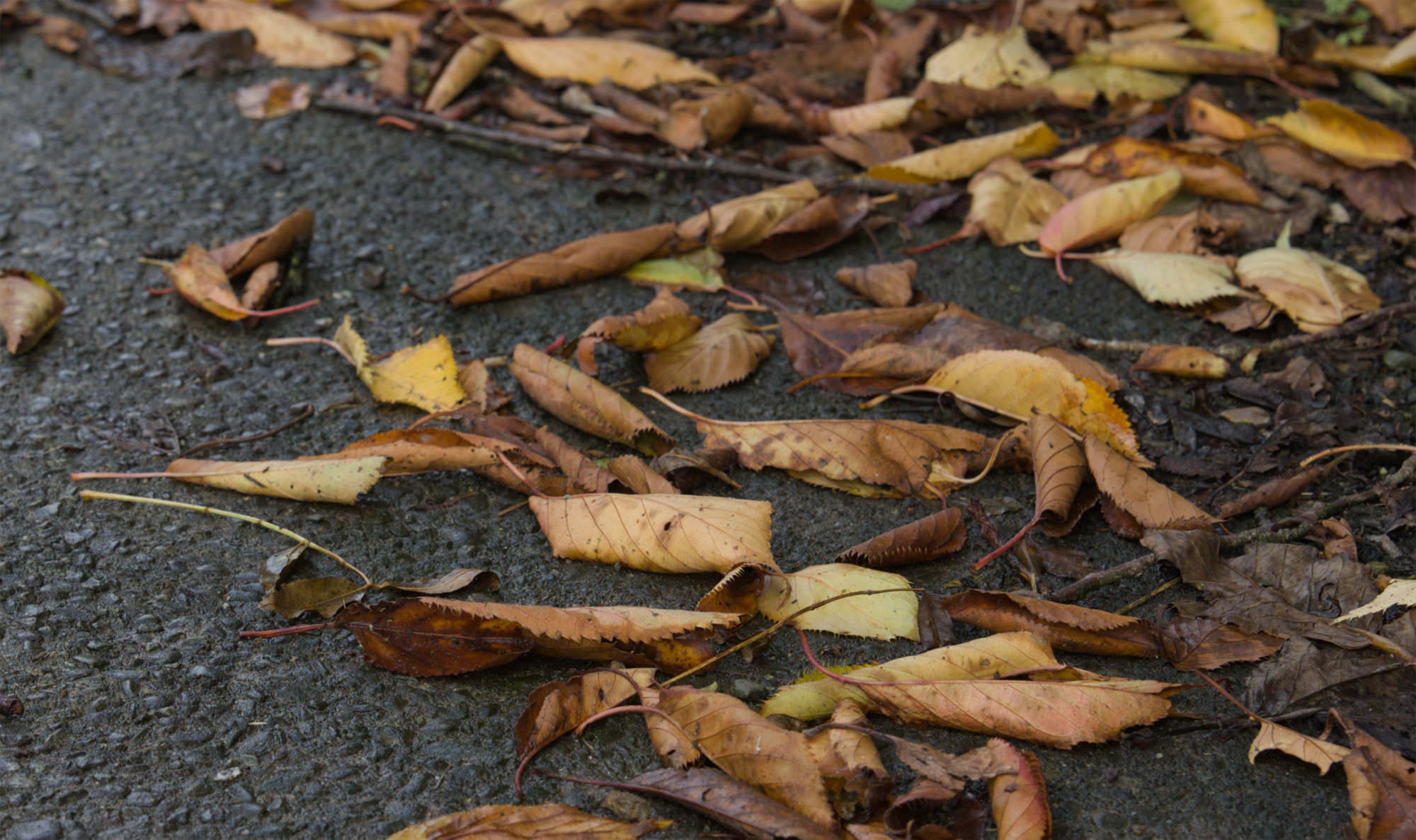 The photography year of 2025